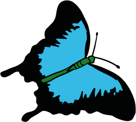 a ulysses butterfly.